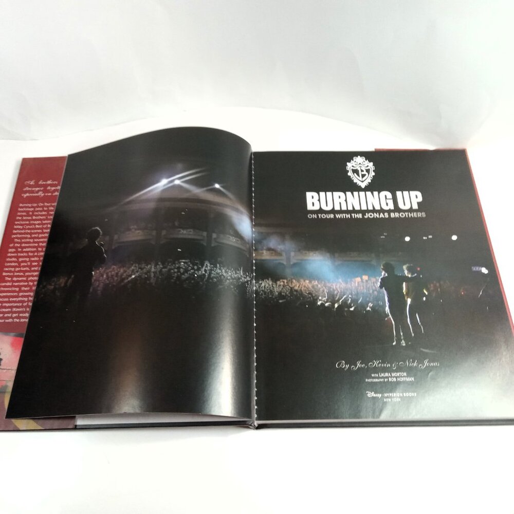 BURNING UP ON YOUR TOUR WITH THE JONAS BROTHERS HC - DCJ - Picture 13 of 16